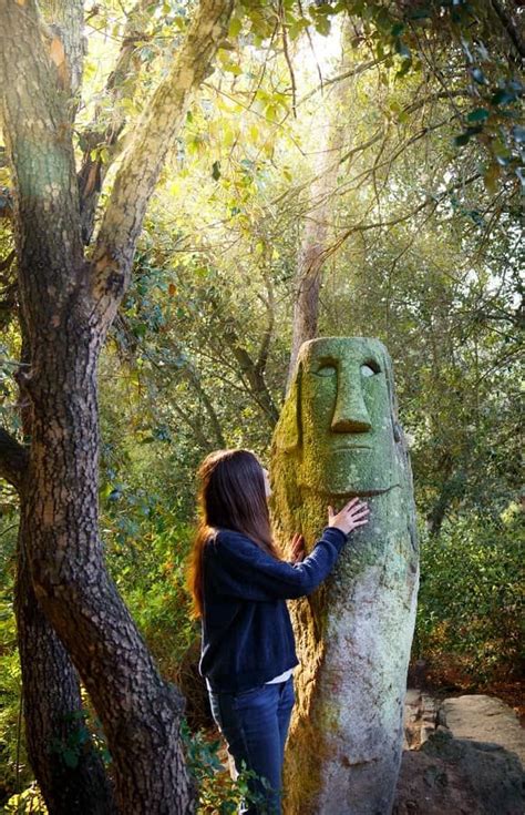 Excursión al Bosque Encantado de Orrius 